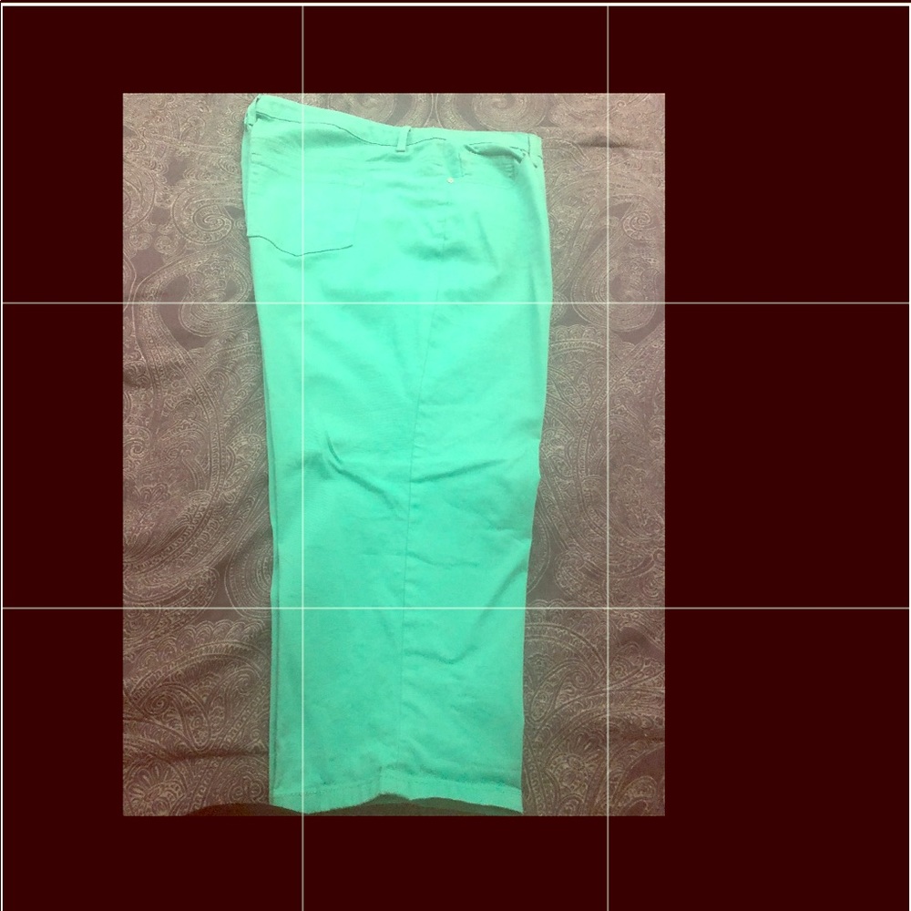 Sea foam green Capri pant.